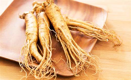 Ginseng Üreticisi